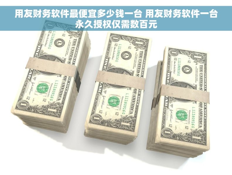 用友财务软件最便宜多少钱一台 用友财务软件一台永久授权仅需数百元