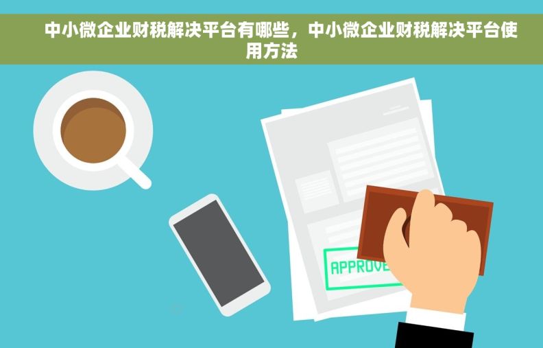     中小微企业财税解决平台有哪些，中小微企业财税解决平台使用方法