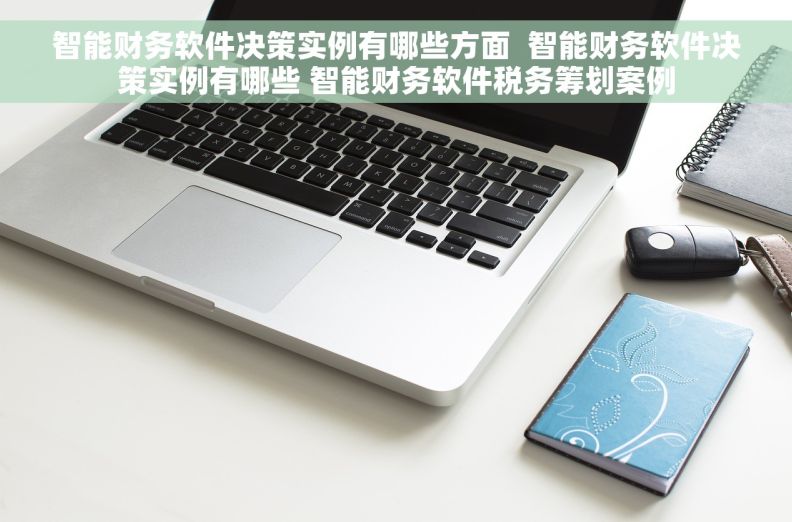 智能财务软件决策实例有哪些方面  智能财务软件决策实例有哪些 智能财务软件税务筹划案例