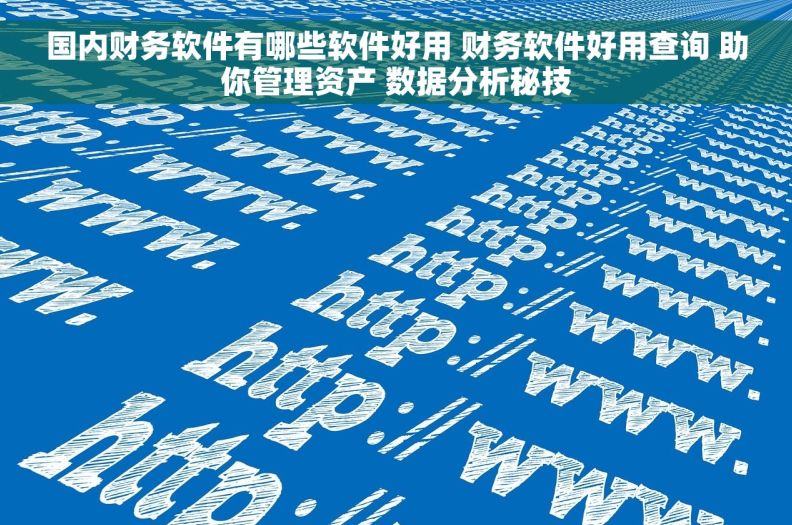 国内财务软件有哪些软件好用 财务软件好用查询 助你管理资产 数据分析秘技