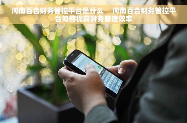 河南百合财务管控平台是什么     河南百合财务管控平台如何提高财务管理效率