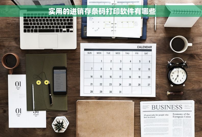  实用的进销存条码打印软件有哪些