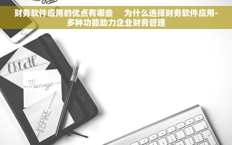 财务软件应用的优点有哪些     为什么选择财务软件应用-多种功能助力企业财务管理