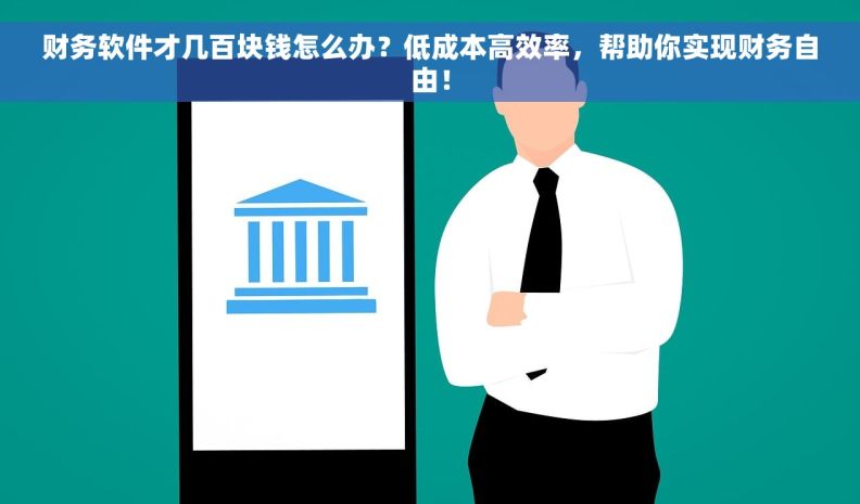 财务软件才几百块钱怎么办？低成本高效率，帮助你实现财务自由！