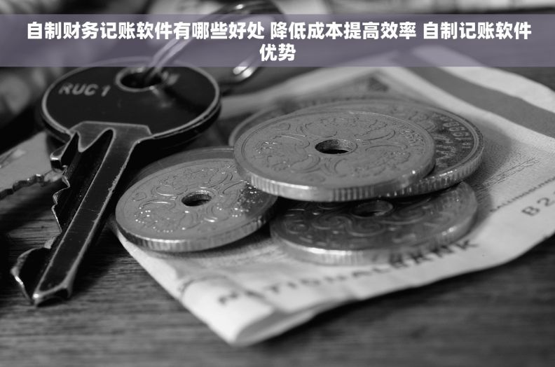 自制财务记账软件有哪些好处 降低成本提高效率 自制记账软件优势