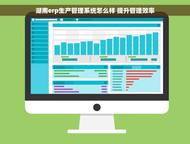湖南erp生产管理系统怎么样 提升管理效率
