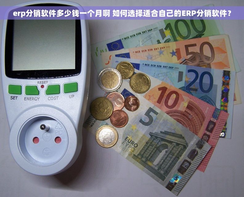 erp分销软件多少钱一个月啊 如何选择适合自己的ERP分销软件？