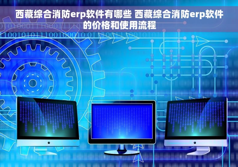 西藏综合消防erp软件有哪些 西藏综合消防erp软件的价格和使用流程