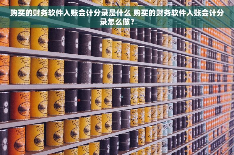 购买的财务软件入账会计分录是什么 购买的财务软件入账会计分录怎么做？