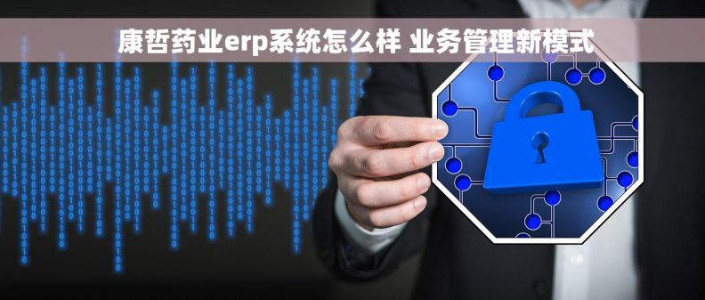  康哲药业erp系统怎么样 业务管理新模式