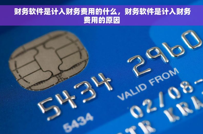  财务软件是计入财务费用的什么，财务软件是计入财务费用的原因