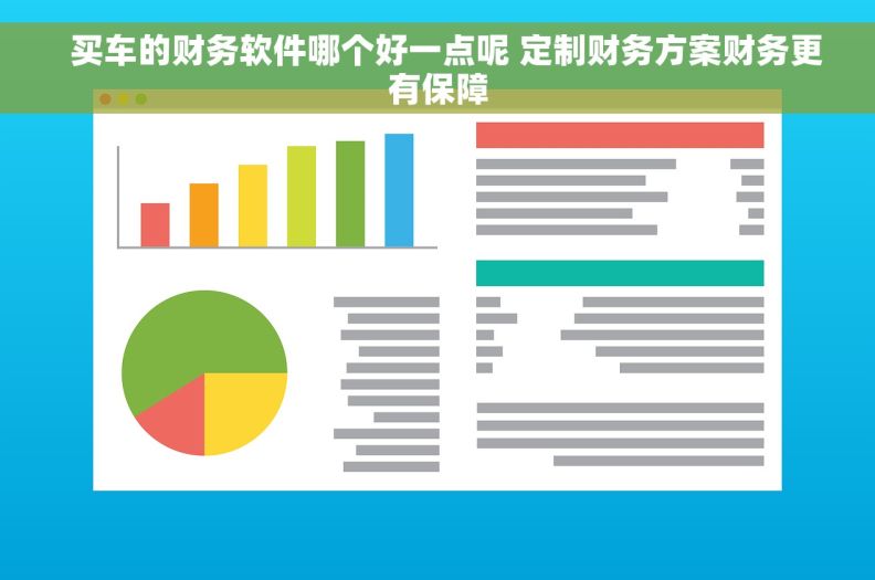   买车的财务软件哪个好一点呢 定制财务方案财务更有保障