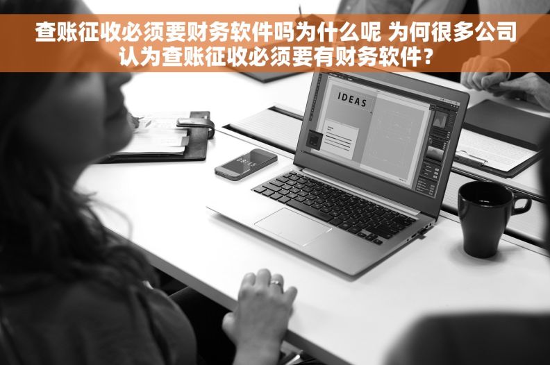 查账征收必须要财务软件吗为什么呢 为何很多公司认为查账征收必须要有财务软件？