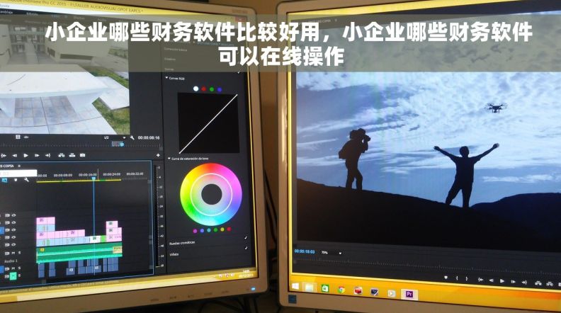    小企业哪些财务软件比较好用，小企业哪些财务软件可以在线操作