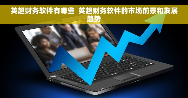 英超财务软件有哪些  英超财务软件的市场前景和发展趋势