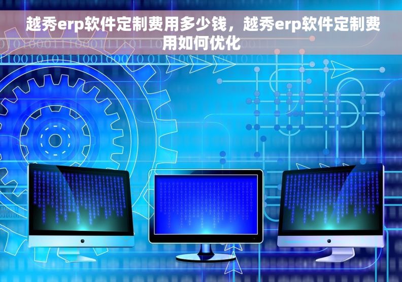  越秀erp软件定制费用多少钱，越秀erp软件定制费用如何优化