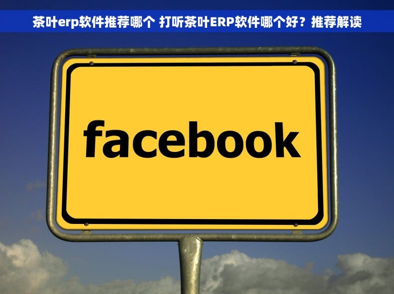 茶叶erp软件推荐哪个 打听茶叶ERP软件哪个好？推荐解读