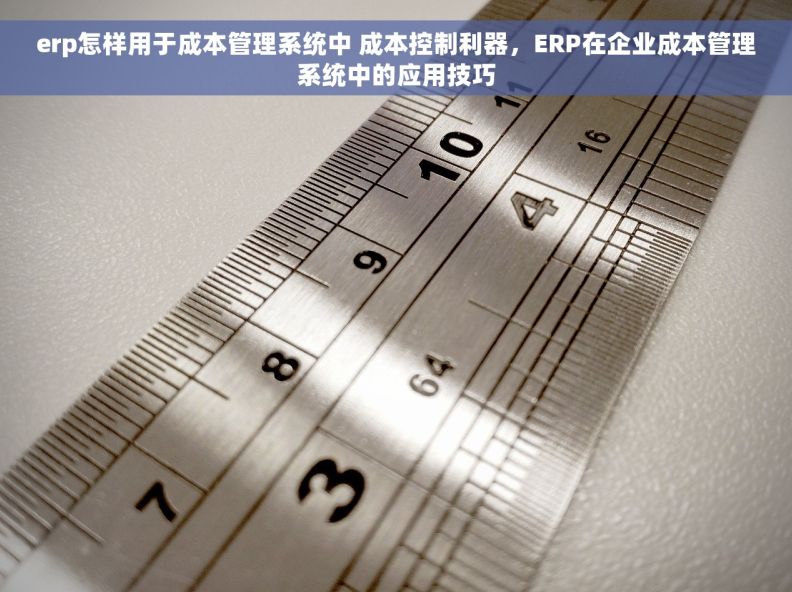 erp怎样用于成本管理系统中 成本控制利器，ERP在企业成本管理系统中的应用技巧