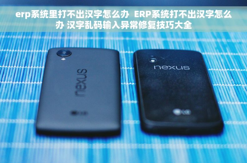 erp系统里打不出汉字怎么办  ERP系统打不出汉字怎么办 汉字乱码输入异常修复技巧大全