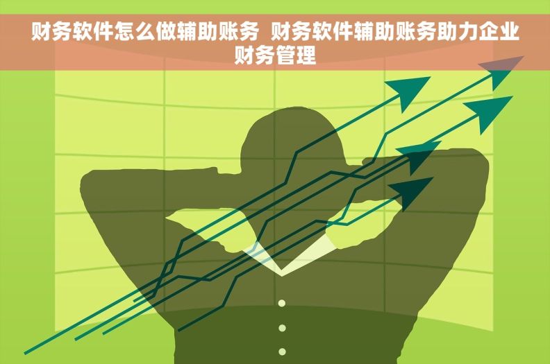 财务软件怎么做辅助账务  财务软件辅助账务助力企业财务管理