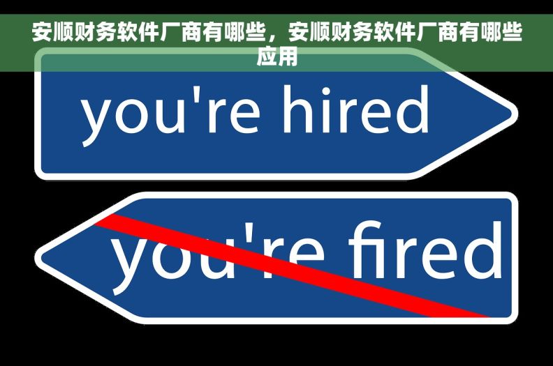 安顺财务软件厂商有哪些，安顺财务软件厂商有哪些应用