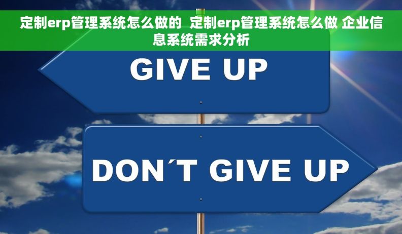 定制erp管理系统怎么做的  定制erp管理系统怎么做 企业信息系统需求分析