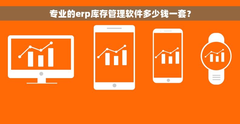 专业的erp库存管理软件多少钱一套？