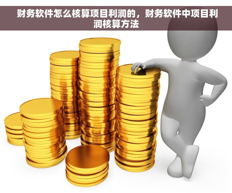  财务软件怎么核算项目利润的，财务软件中项目利润核算方法