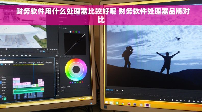   财务软件用什么处理器比较好呢 财务软件处理器品牌对比