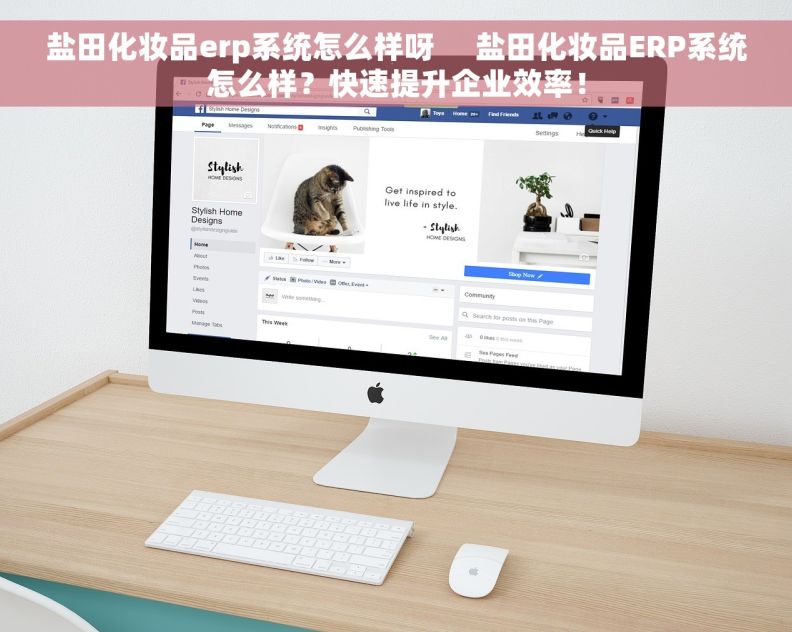 盐田化妆品erp系统怎么样呀     盐田化妆品ERP系统怎么样？快速提升企业效率！