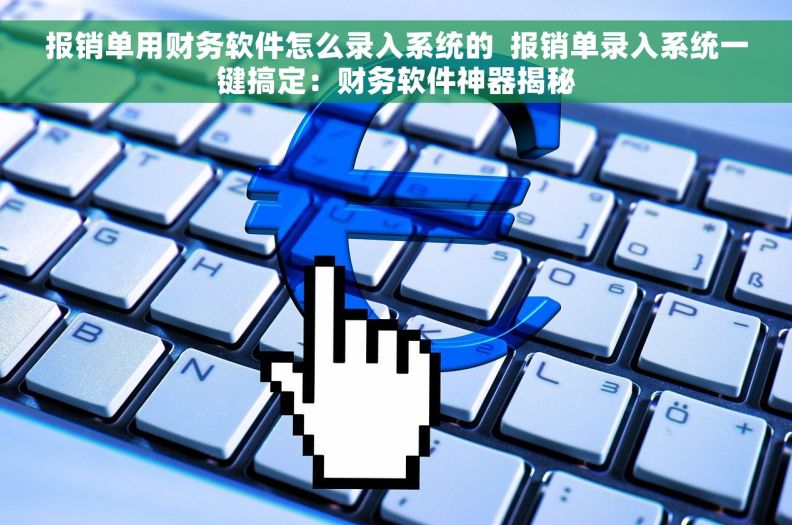 报销单用财务软件怎么录入系统的  报销单录入系统一键搞定：财务软件神器揭秘