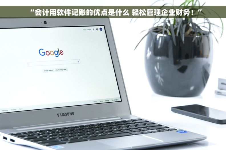 “会计用软件记账的优点是什么 轻松管理企业财务！”