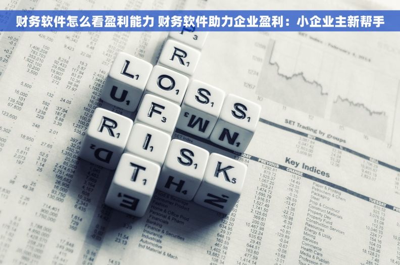 财务软件怎么看盈利能力 财务软件助力企业盈利：小企业主新帮手