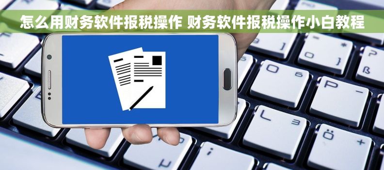 怎么用财务软件报税操作 财务软件报税操作小白教程