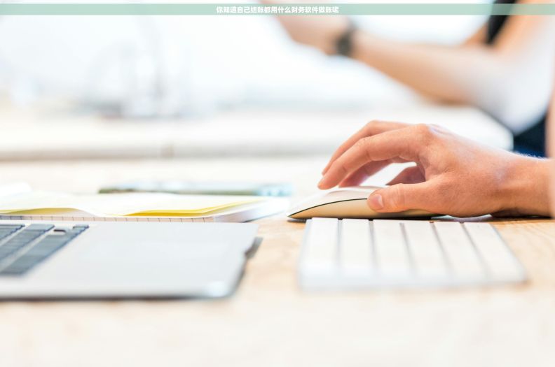 你知道自己结账都用什么财务软件做账呢