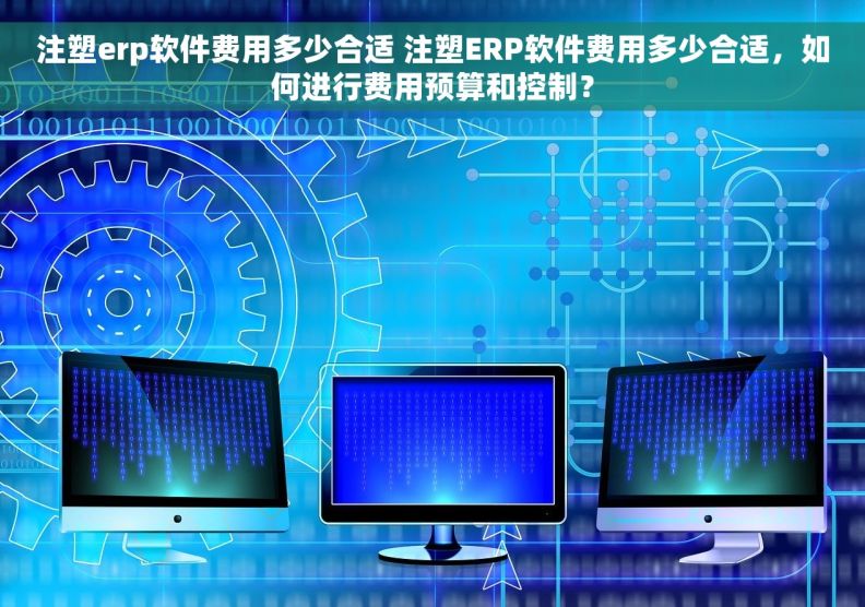 注塑erp软件费用多少合适 注塑ERP软件费用多少合适，如何进行费用预算和控制？