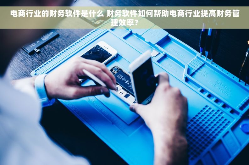 电商行业的财务软件是什么 财务软件如何帮助电商行业提高财务管理效率？