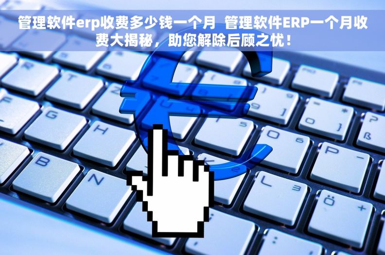 管理软件erp收费多少钱一个月 管理软件ERP一个月收费大揭秘,助您解除后顾之忧! 管理软件erp收费多少钱一个月 管理软件ERP一个月收费大揭秘,助您解除后顾之忧!