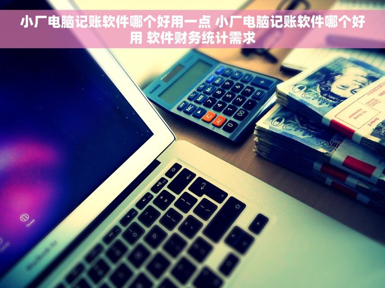 小厂电脑记账软件哪个好用一点 小厂电脑记账软件哪个好用 软件财务统计需求