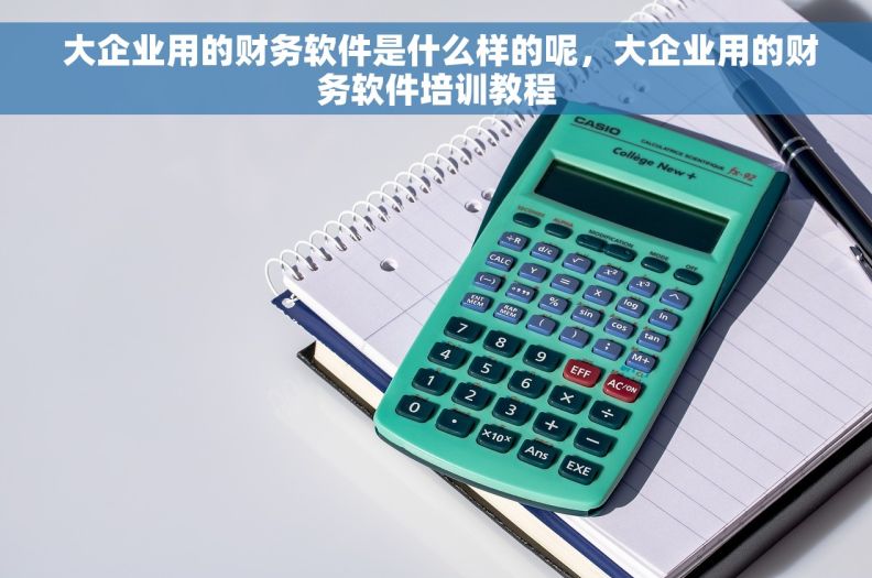  大企业用的财务软件是什么样的呢，大企业用的财务软件培训教程