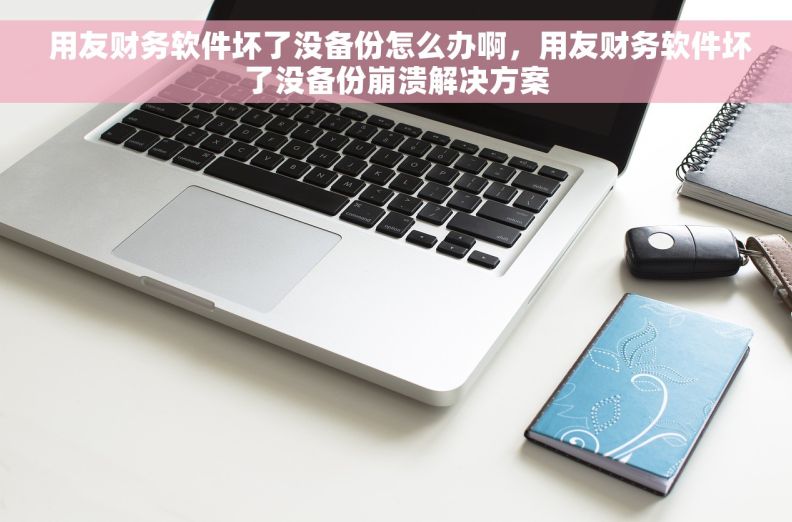  用友财务软件坏了没备份怎么办啊，用友财务软件坏了没备份崩溃解决方案