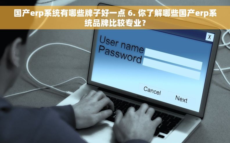 国产erp系统有哪些牌子好一点 6. 你了解哪些国产erp系统品牌比较专业？