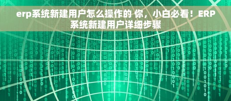 erp系统新建用户怎么操作的 你，小白必看！ERP系统新建用户详细步骤