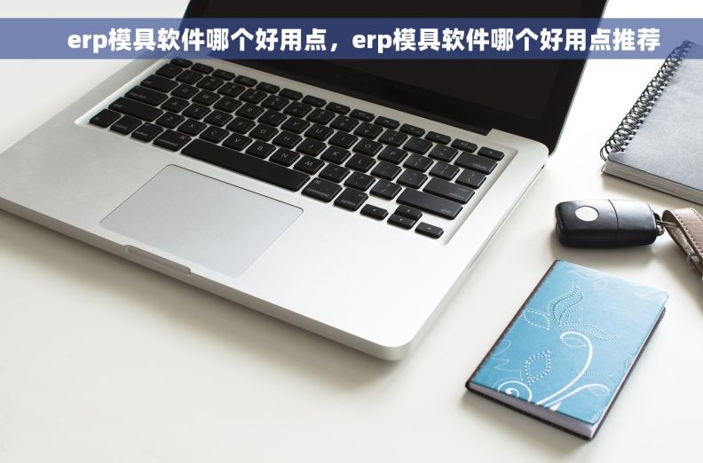     erp模具软件哪个好用点，erp模具软件哪个好用点推荐
