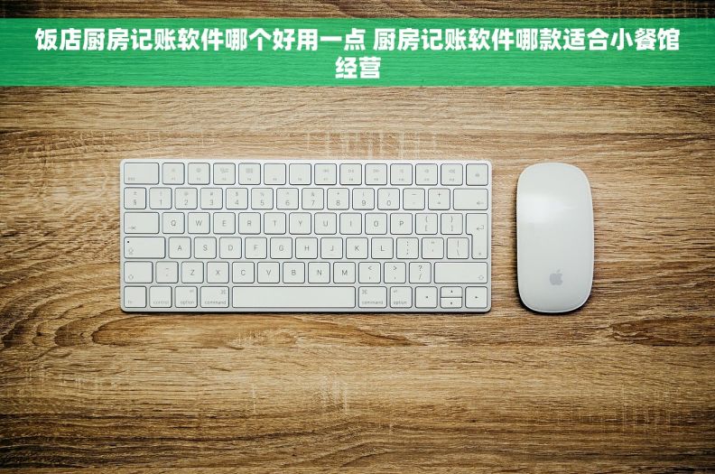 饭店厨房记账软件哪个好用一点 厨房记账软件哪款适合小餐馆经营