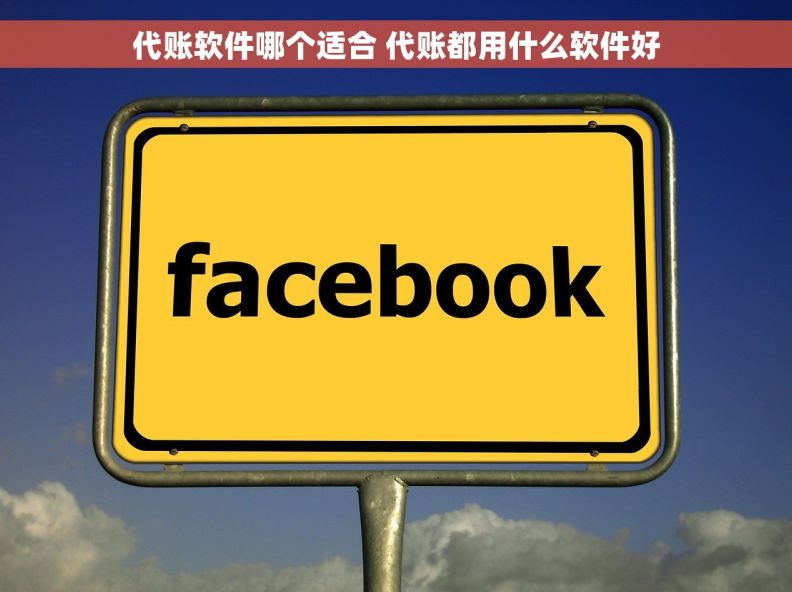 代账软件哪个适合 代账都用什么软件好