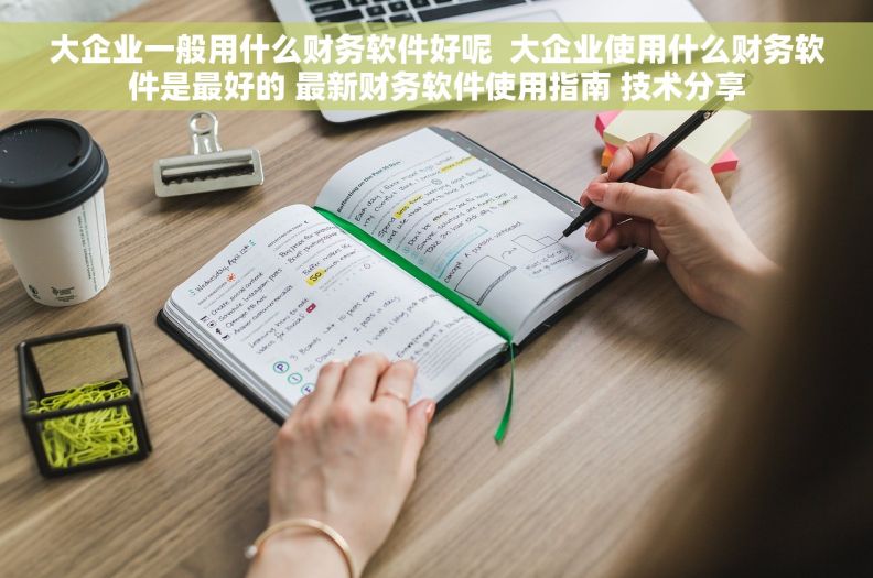 大企业一般用什么财务软件好呢  大企业使用什么财务软件是最好的 最新财务软件使用指南 技术分享