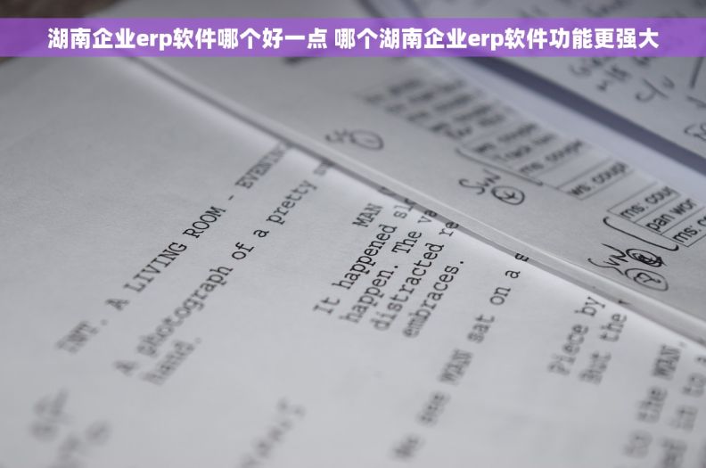 湖南企业erp软件哪个好一点 哪个湖南企业erp软件功能更强大