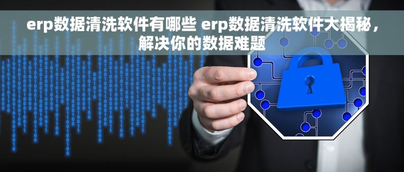 erp数据清洗软件有哪些 erp数据清洗软件大揭秘，解决你的数据难题