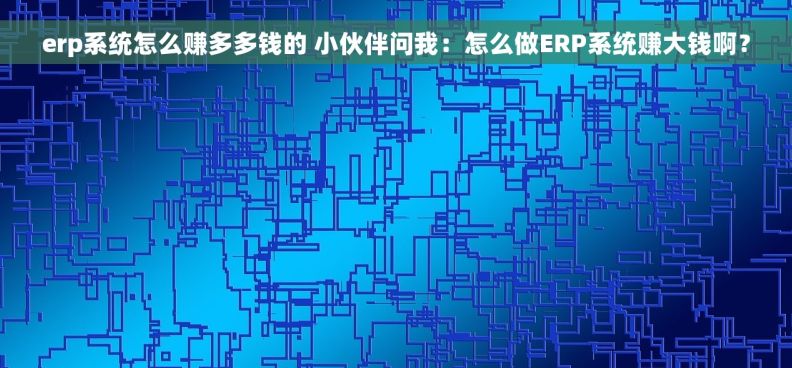 erp系统怎么赚多多钱的 小伙伴问我：怎么做ERP系统赚大钱啊？